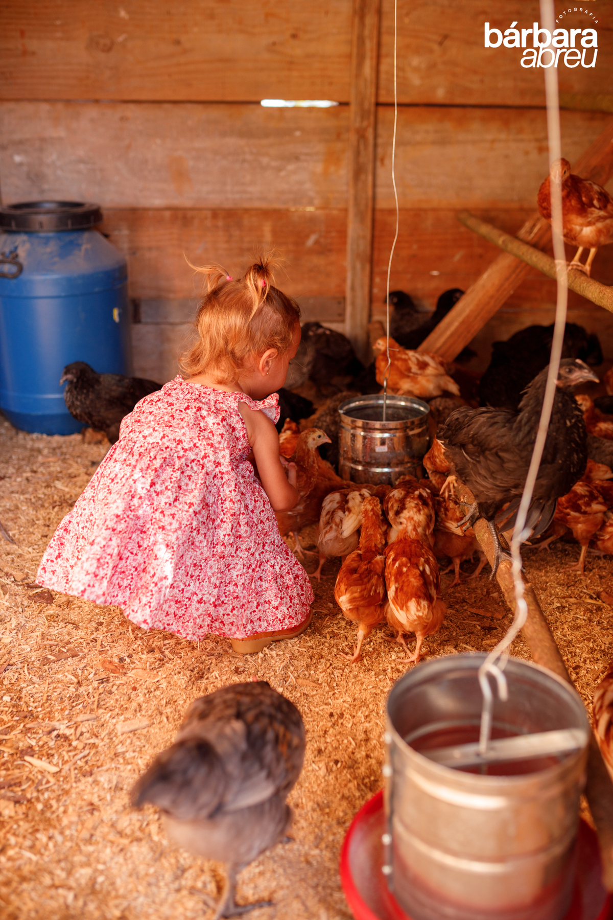 fotografa_familia_curitiba