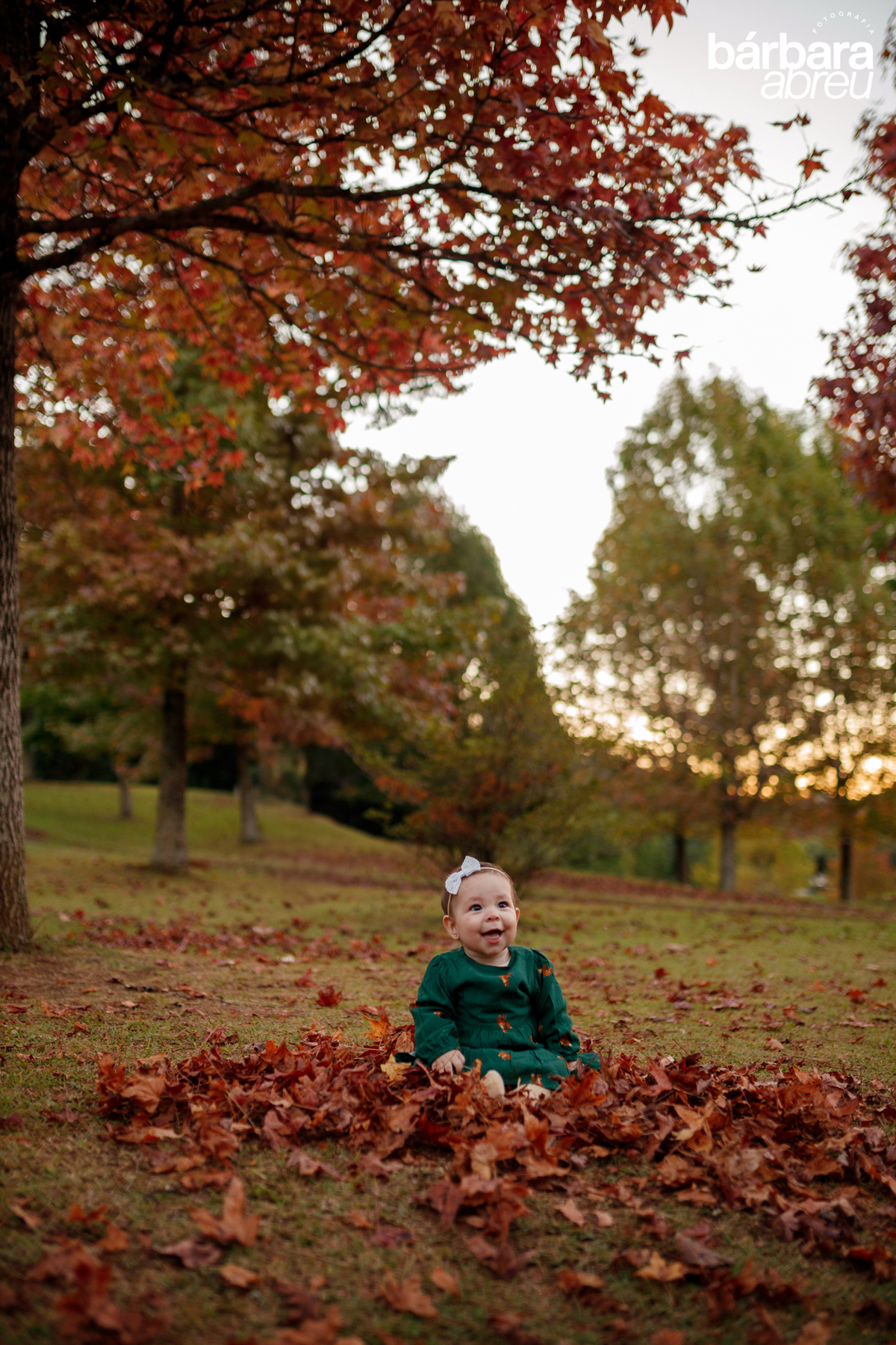 fotografa_curitiba_familia_bebe