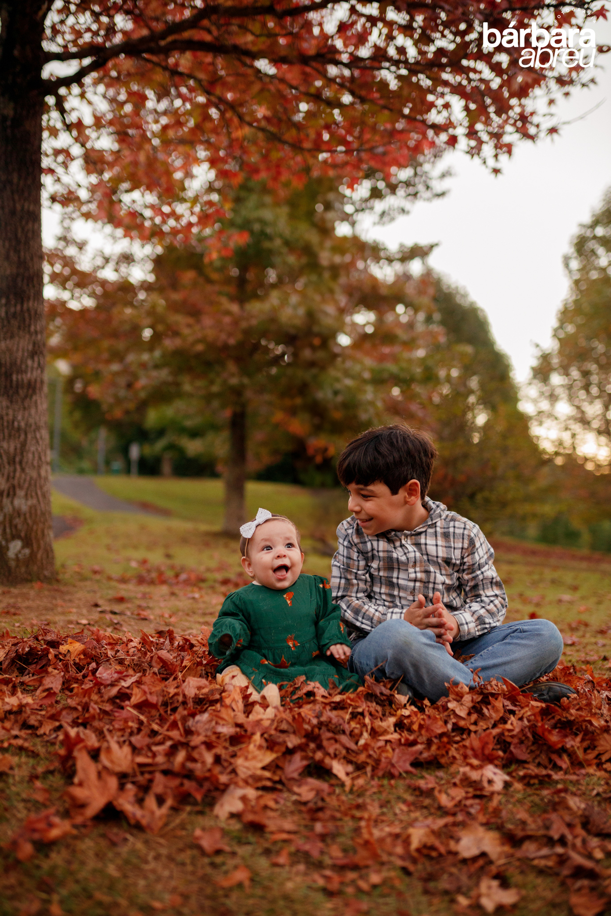 fotografa_curitiba_familia_bebe