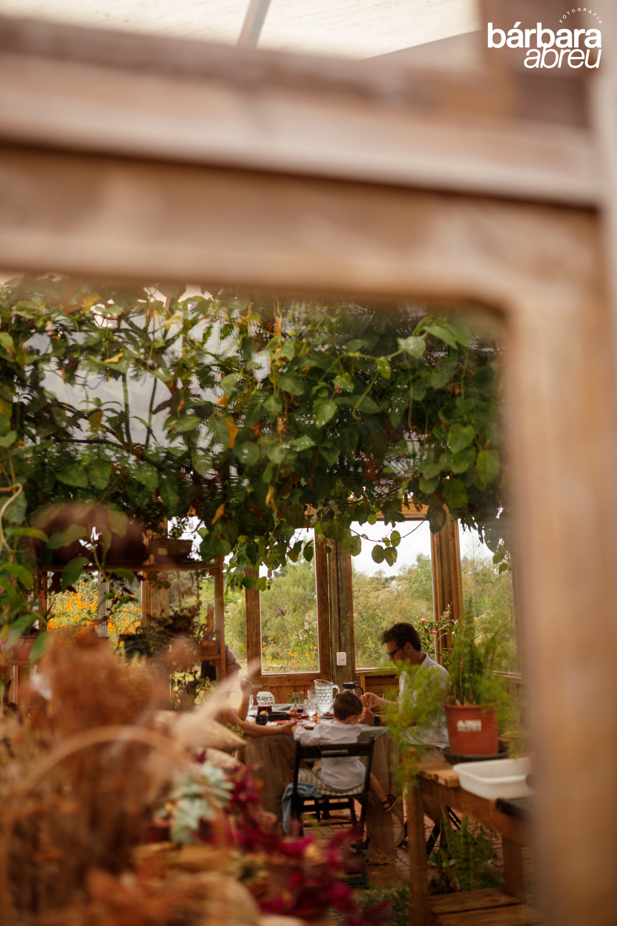 fotografa_familia_curitiba