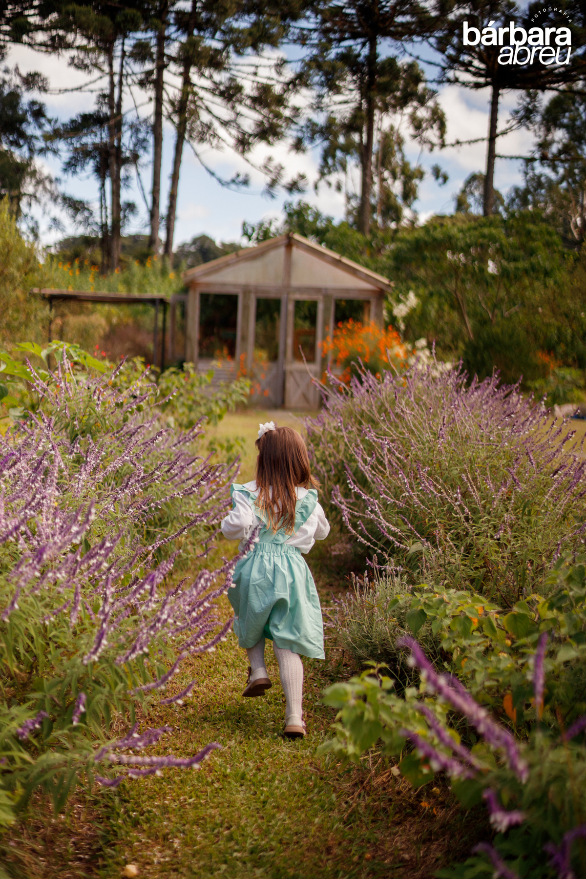 fotografa_familia_curitiba