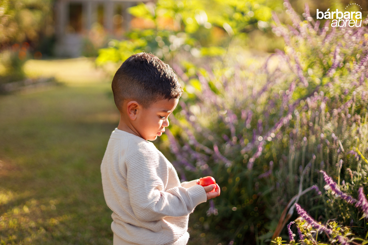 fotografa_familia_curitiba