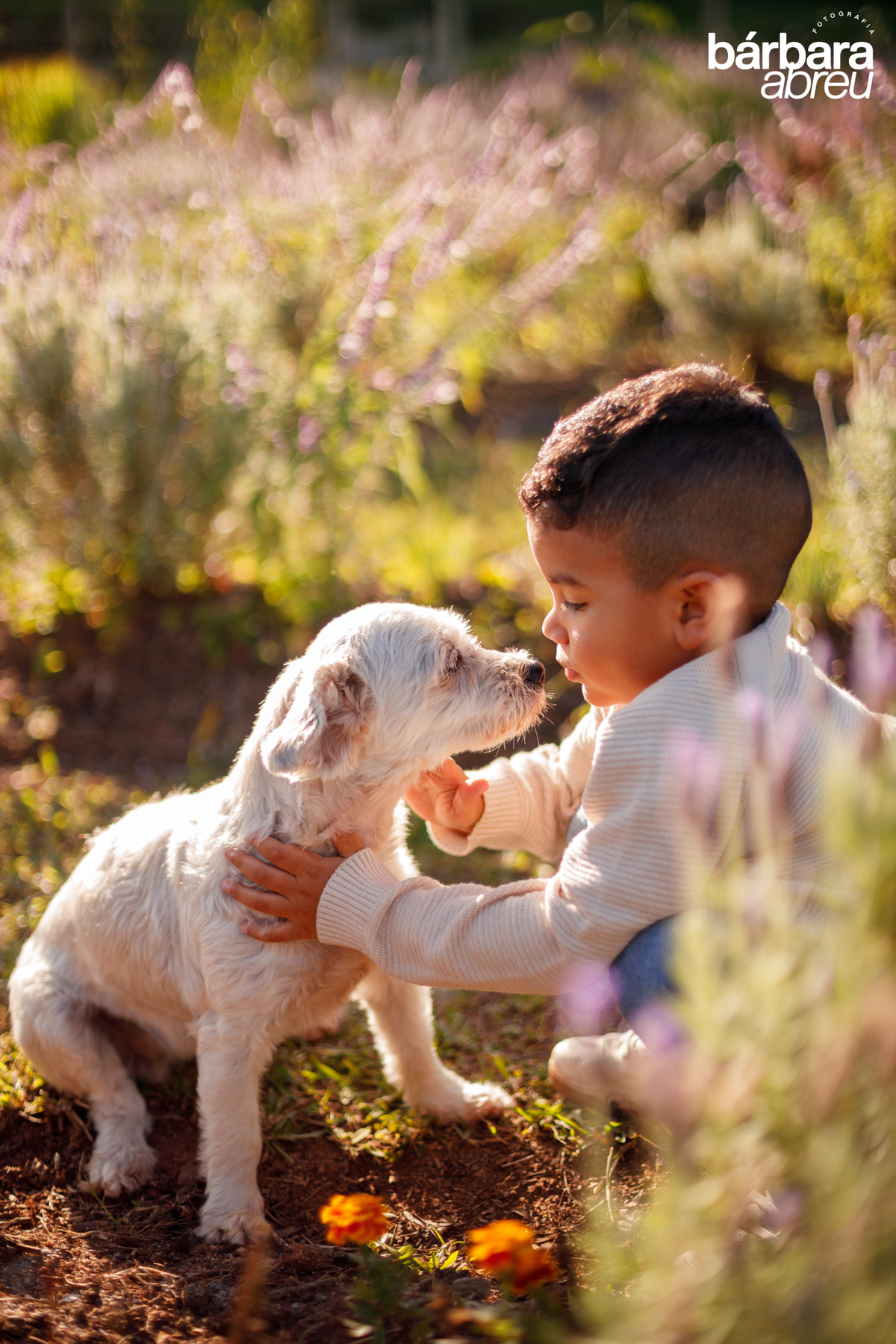 fotografa_familia_curitiba