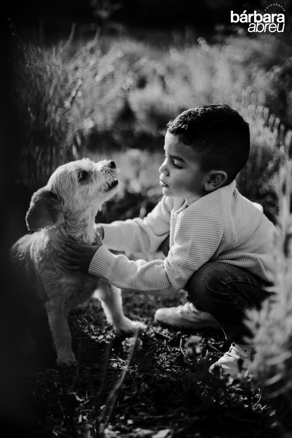 fotografa_familia_curitiba