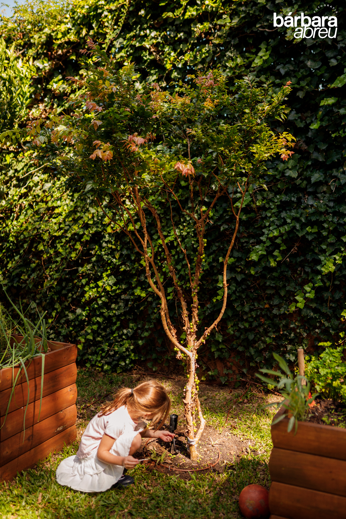 fotografa_familia_curitba_lifestyle