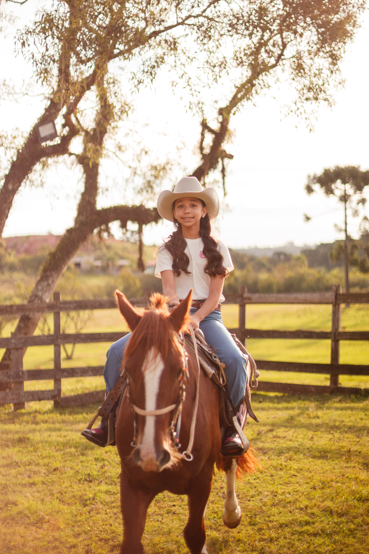 fotografa_familia_curitiba_aniversario