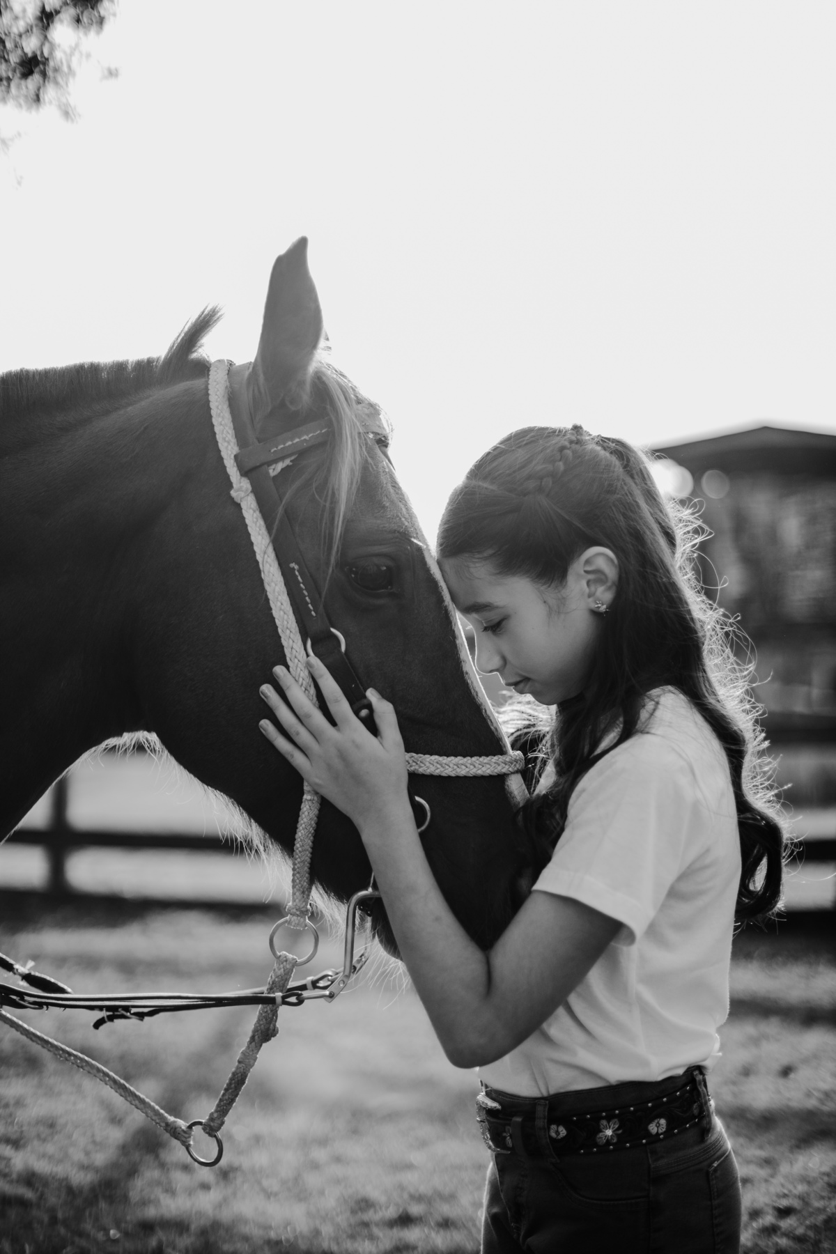 fotografa_familia_curitiba_aniversario