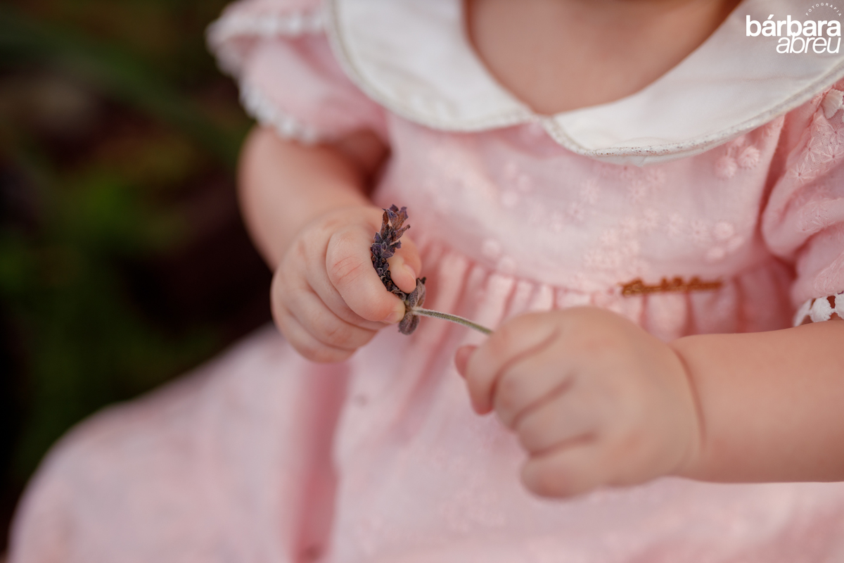 fotografa_familia_curitiba