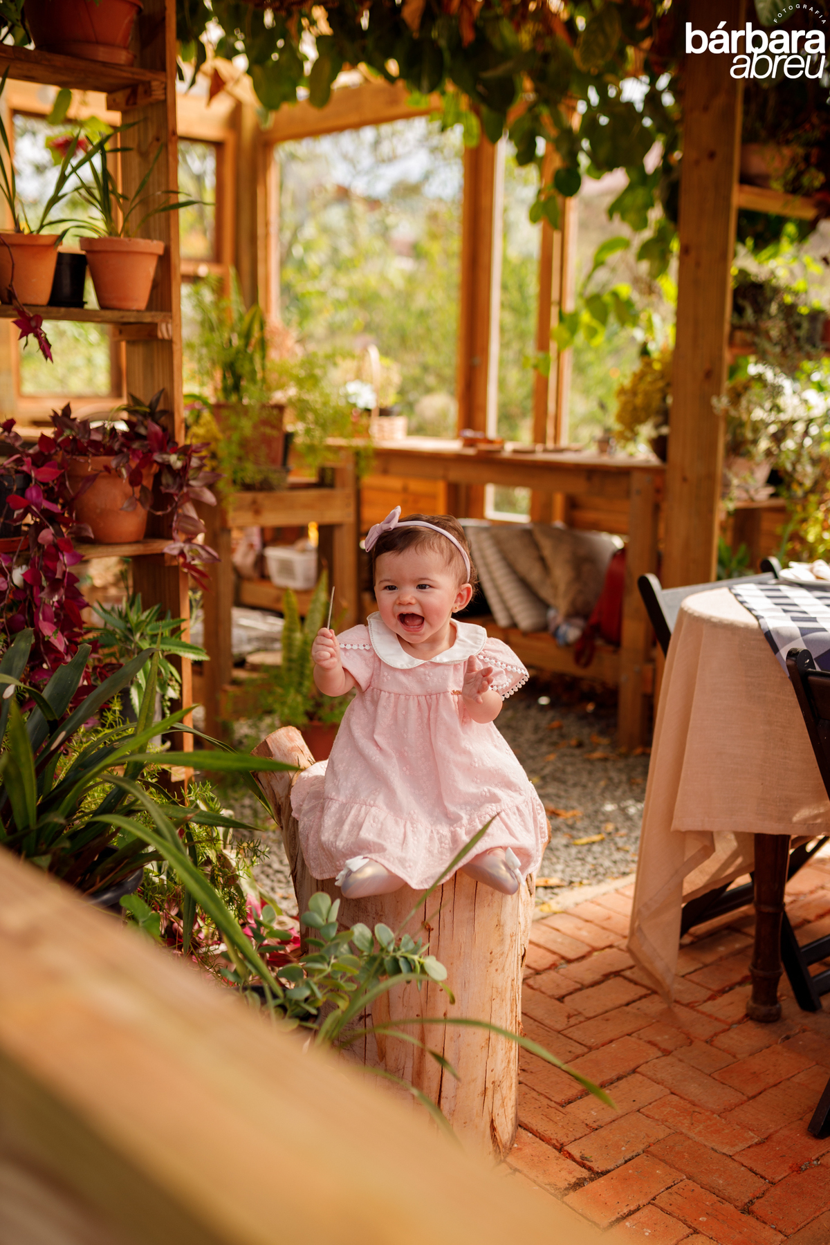 fotografa_familia_curitiba