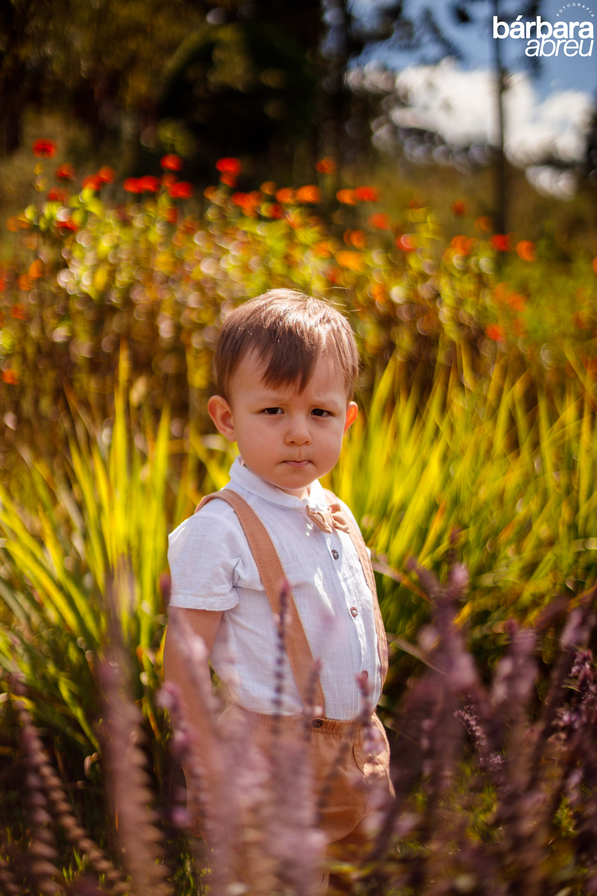 fotografa_familia_curitiba