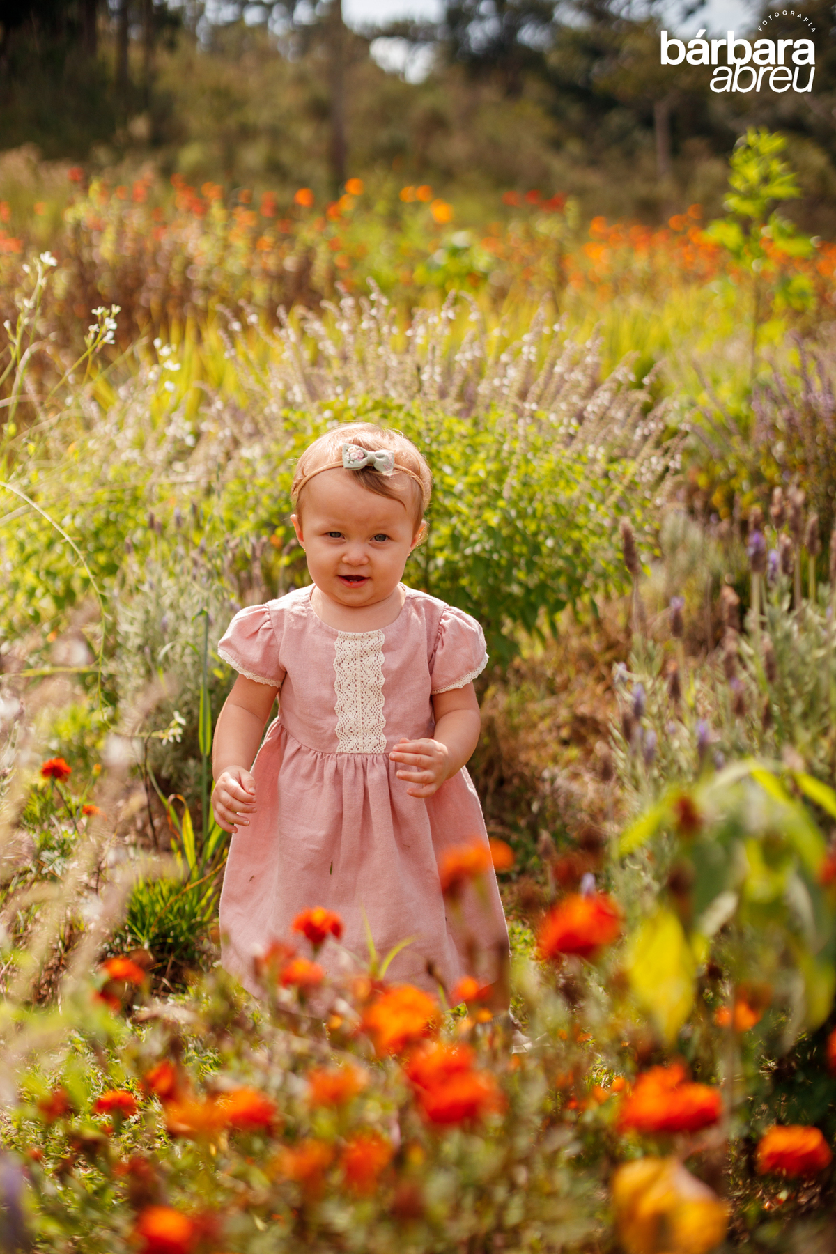 fotografa_familia_curitiba