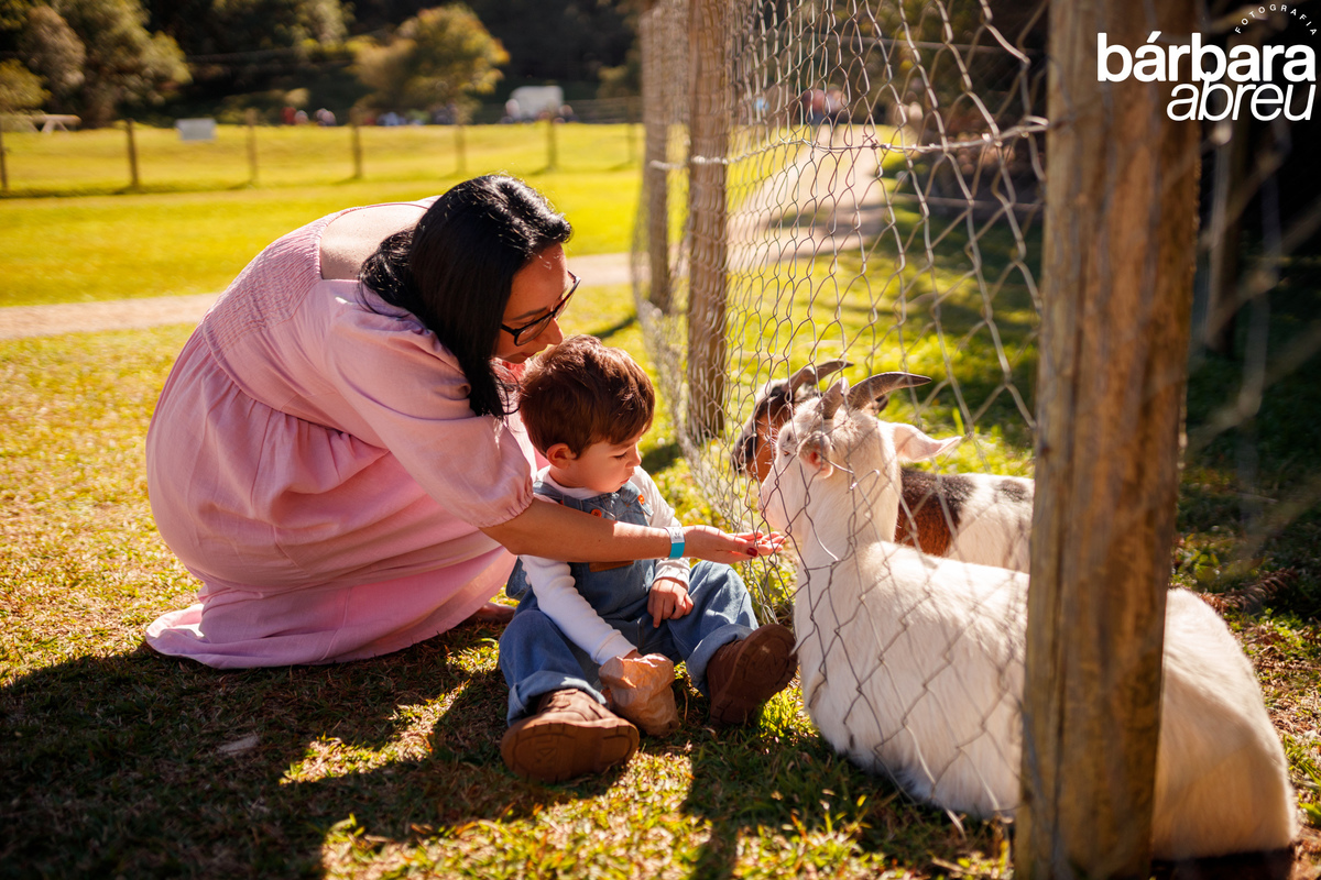 fotógrafa_família_curitiba_fazendinha