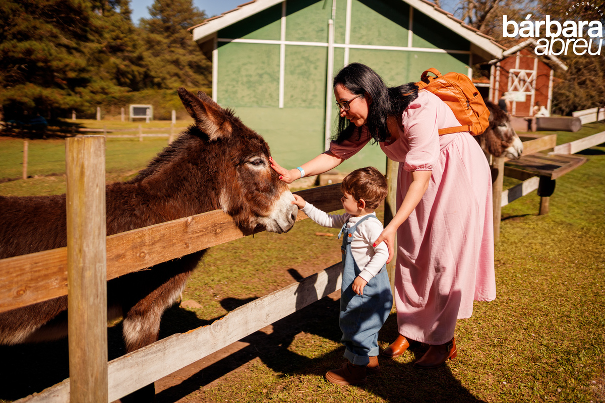 fotógrafa_família_curitiba_fazendinha
