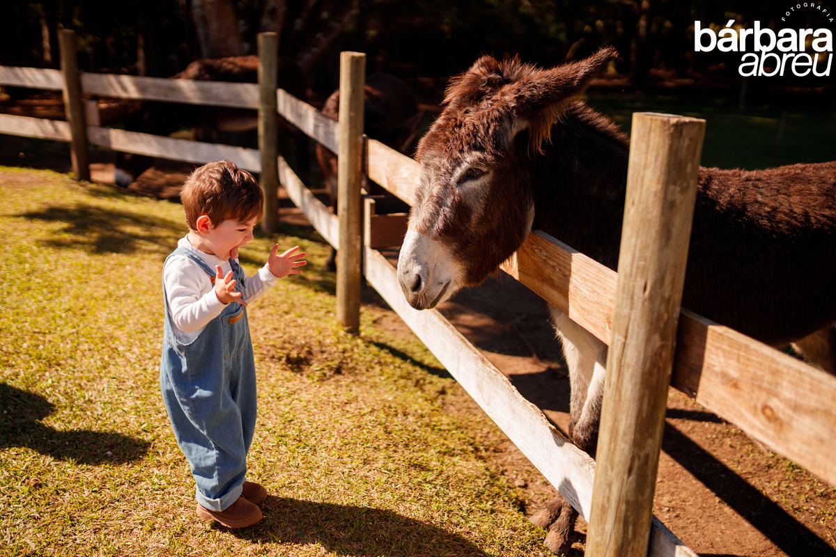 fotógrafa_família_curitiba_fazendinha