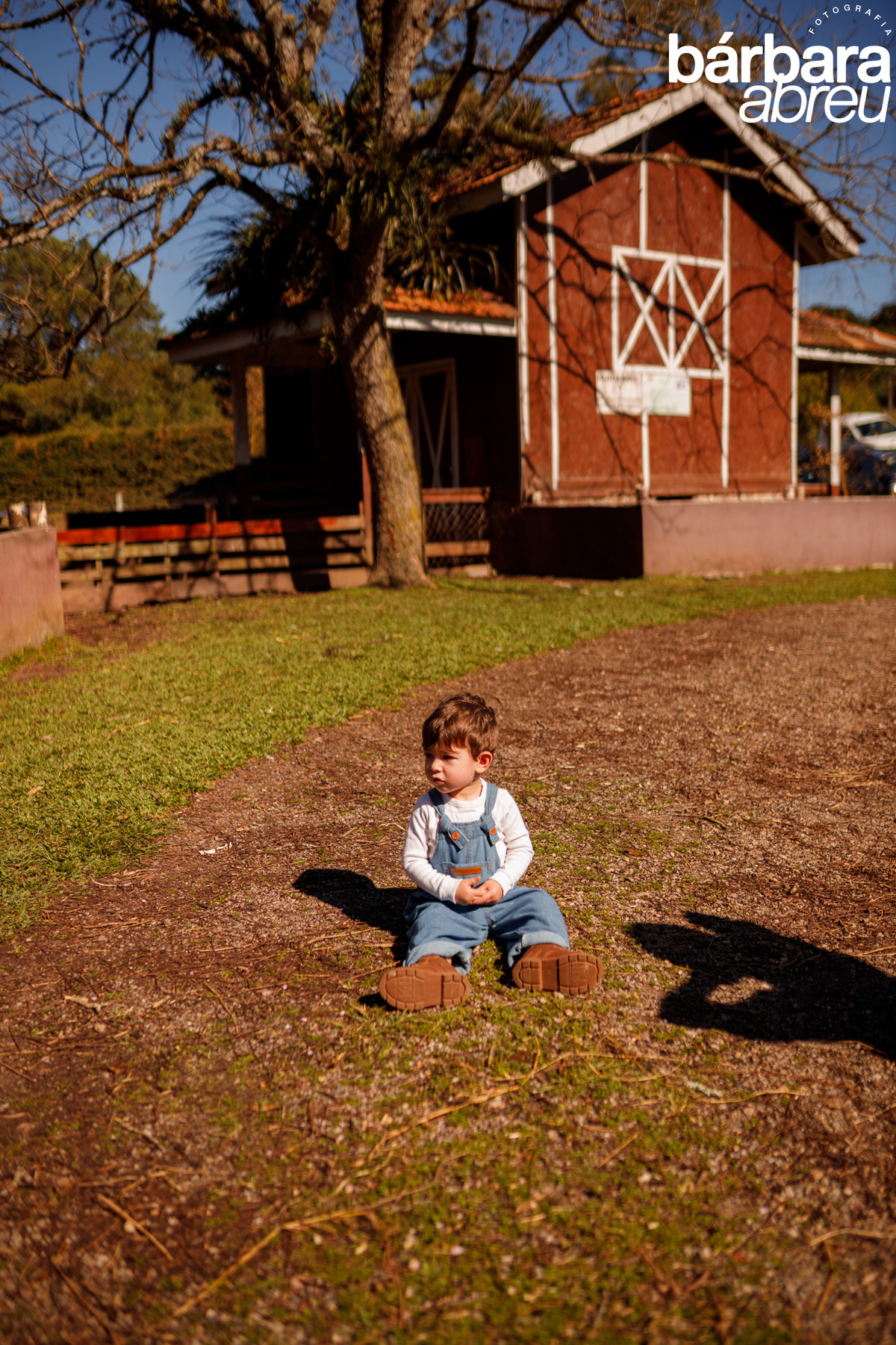 fotógrafa_família_curitiba_fazendinha