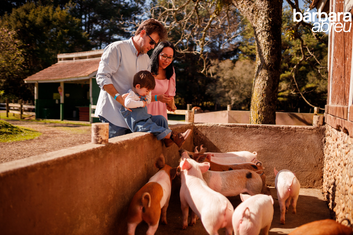 fotógrafa_família_curitiba_fazendinha