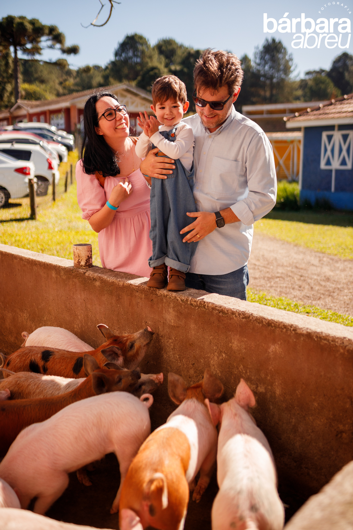 fotógrafa_família_curitiba_fazendinha