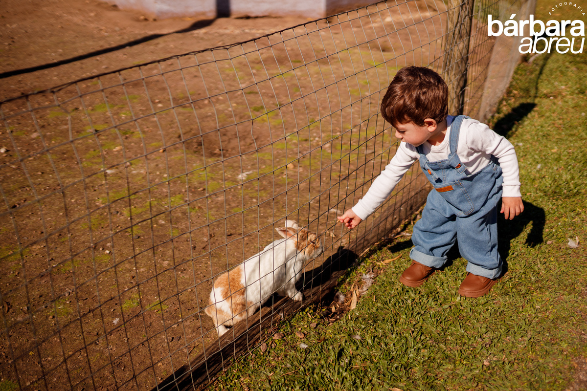 fotógrafa_família_curitiba_fazendinha
