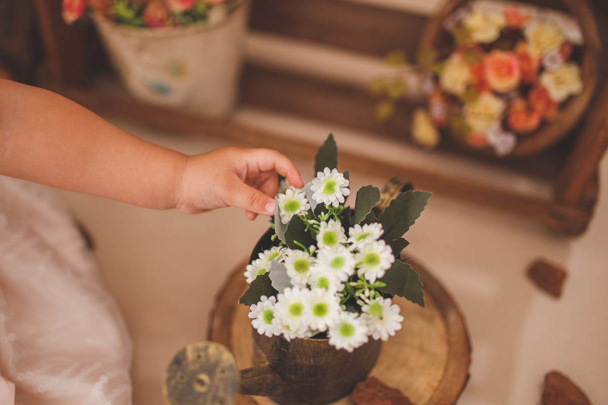 fotografa familia curitiba smash the fruit Gabi