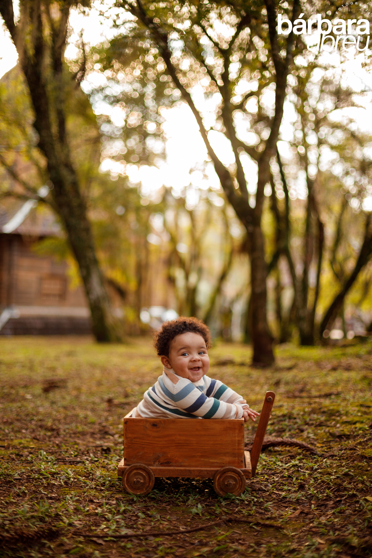 fotógrafa_família_curitiba_bebê