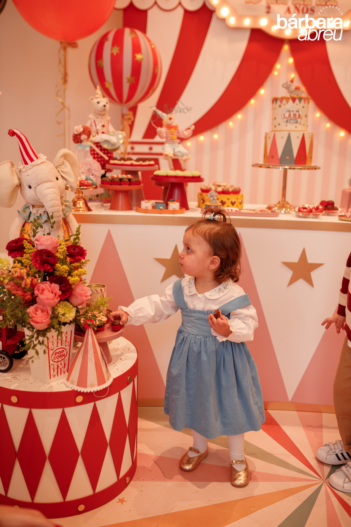 fotografa da familia curitiba - aniversario menina circo