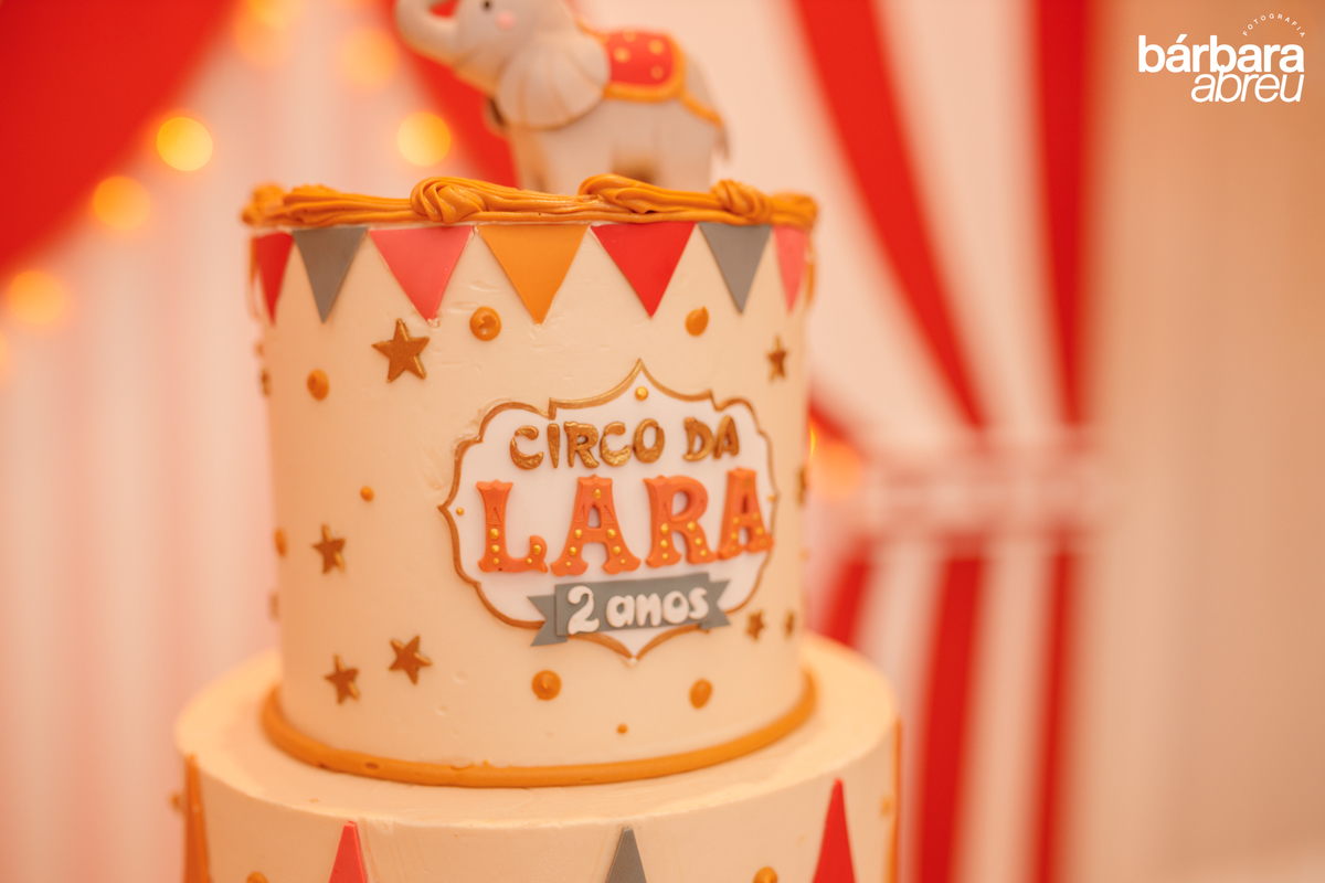 fotografa da familia curitiba - aniversario menina circo
