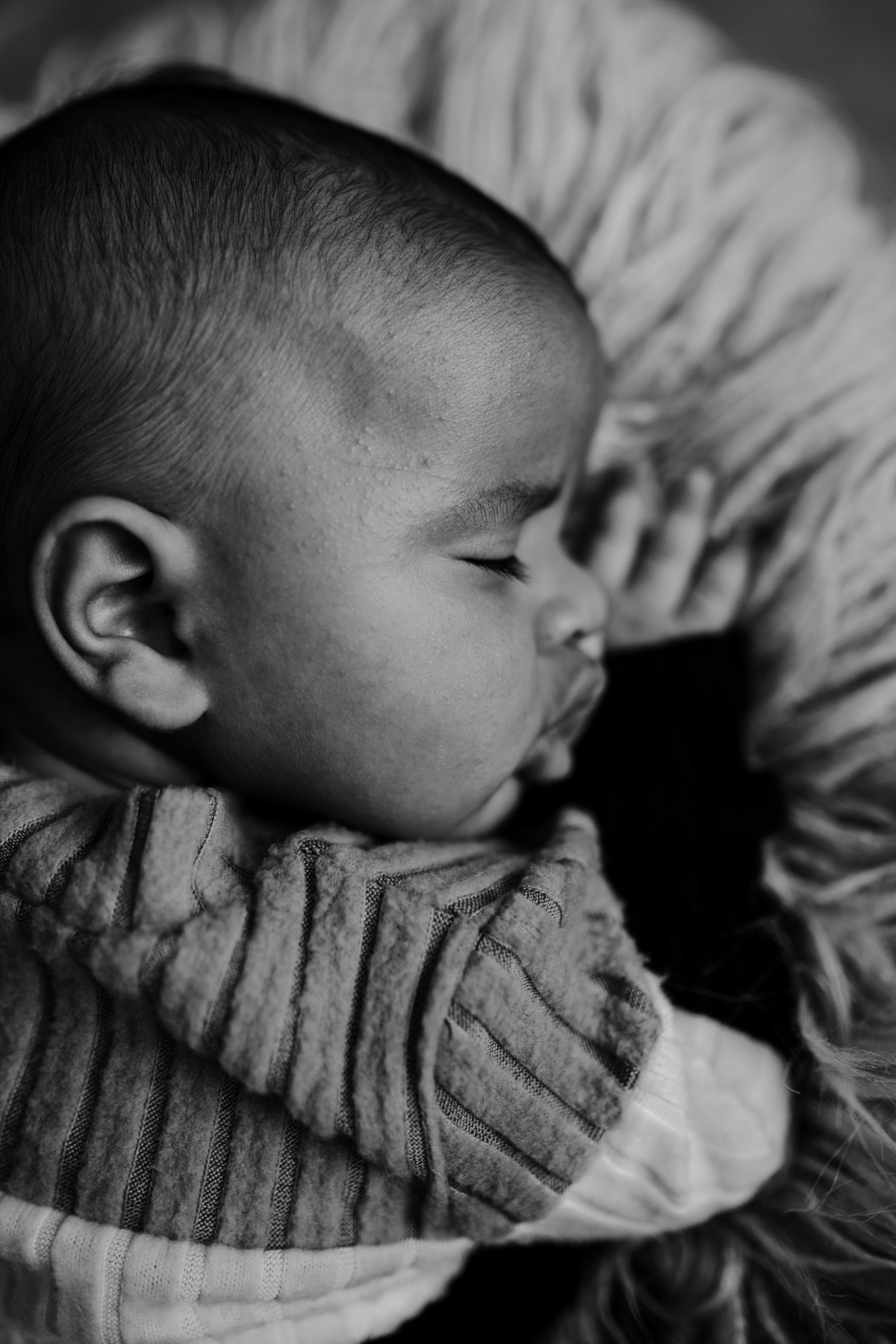 fotografa familia curitiba - bebe menino 2 meses em casa lifestyle - barbara abreu