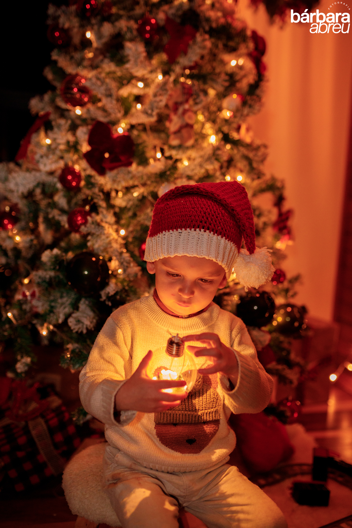 fotógrafa_curitiba_família_natal