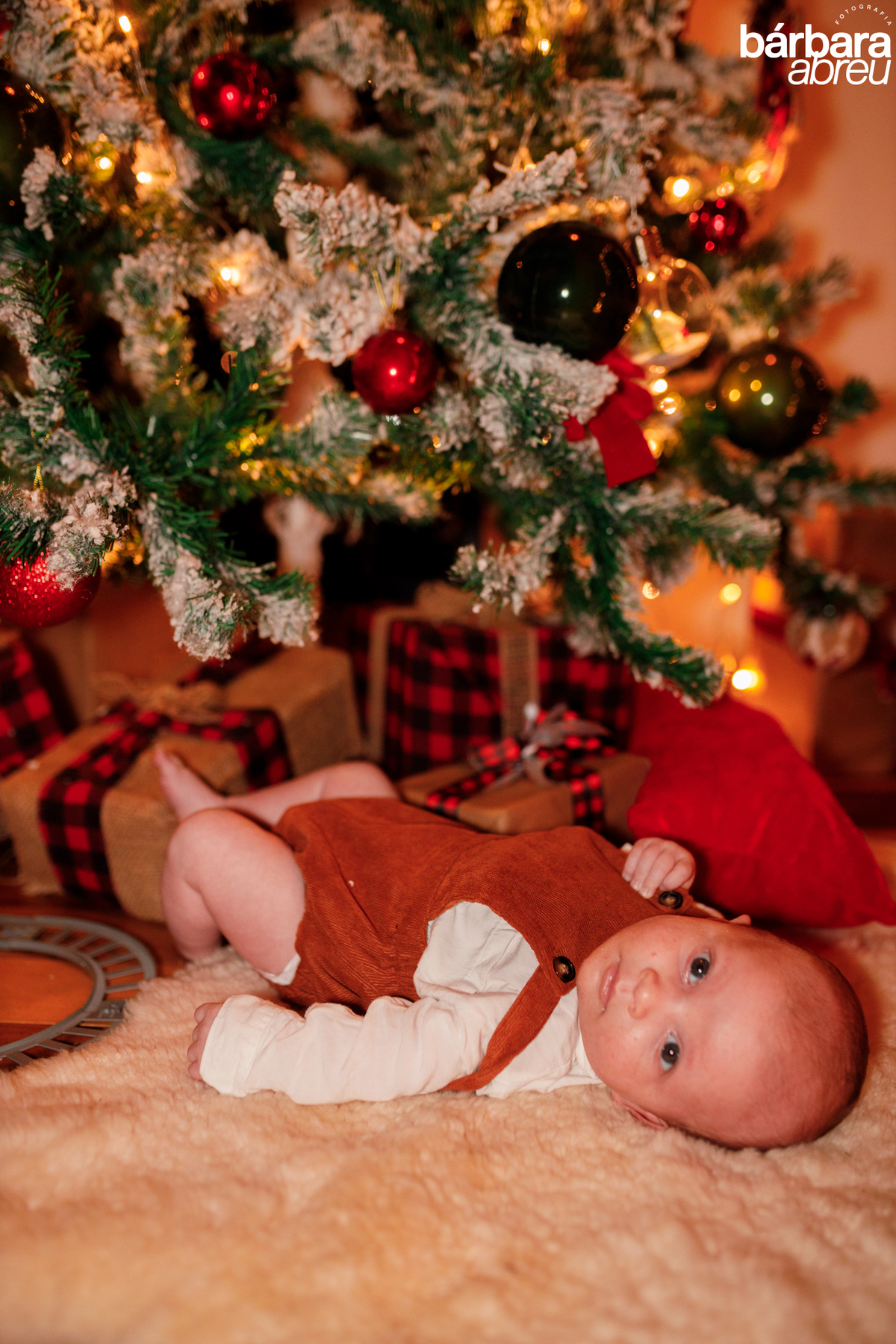 fotógrafa_curitiba_família_natal