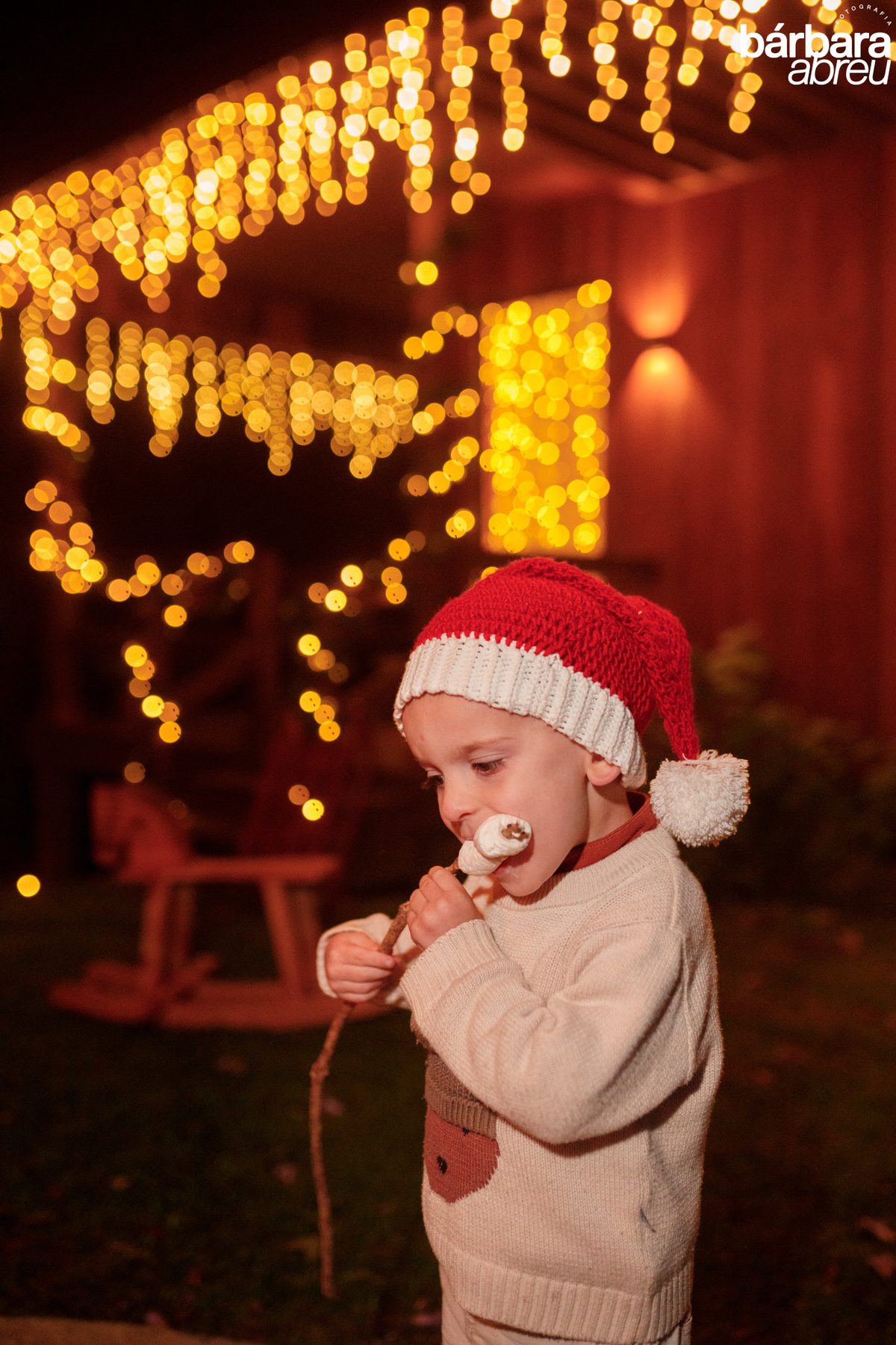 fotógrafa_curitiba_família_natal