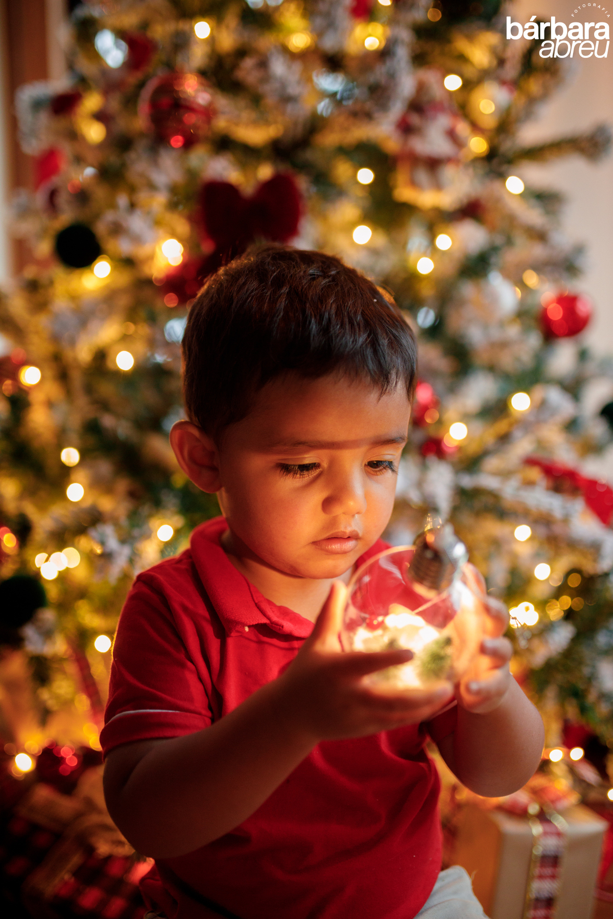 fotógrafa_família_curitiba_natal