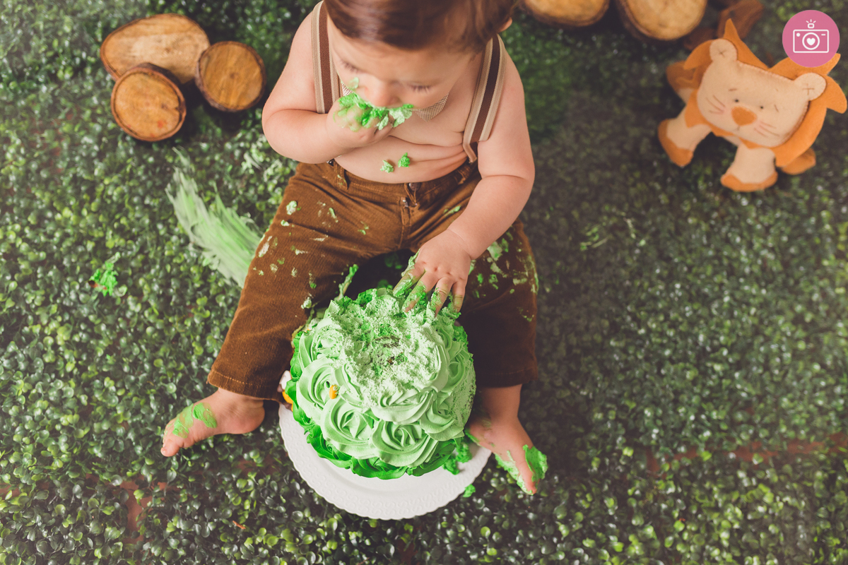 fotografia familia curitiba - smash the Cake Leo