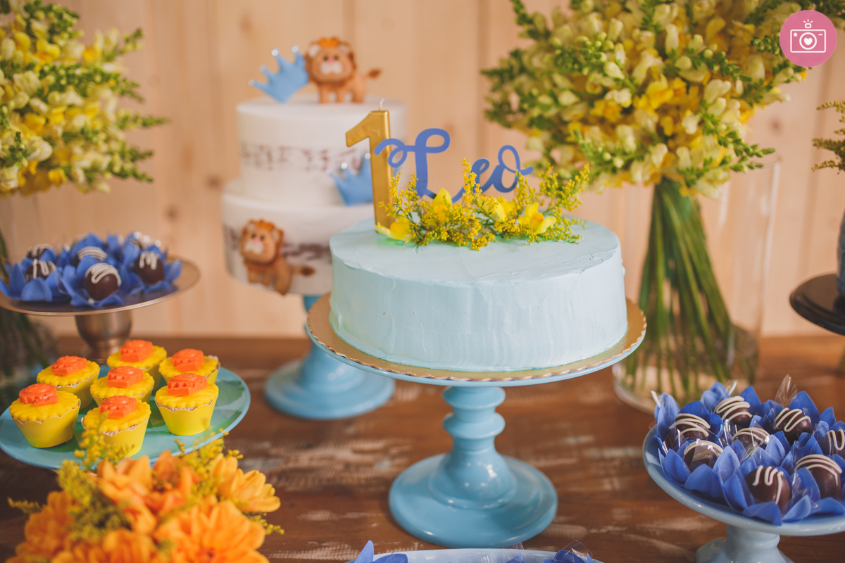 fotografia familia curitiba - aniversario 1 ano Leo