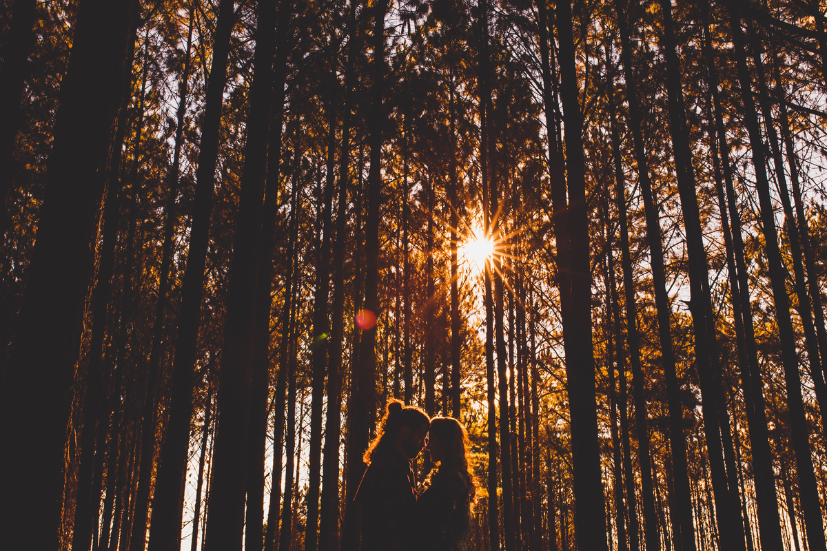 Fotografa familia curitiba - ensaio externo casal