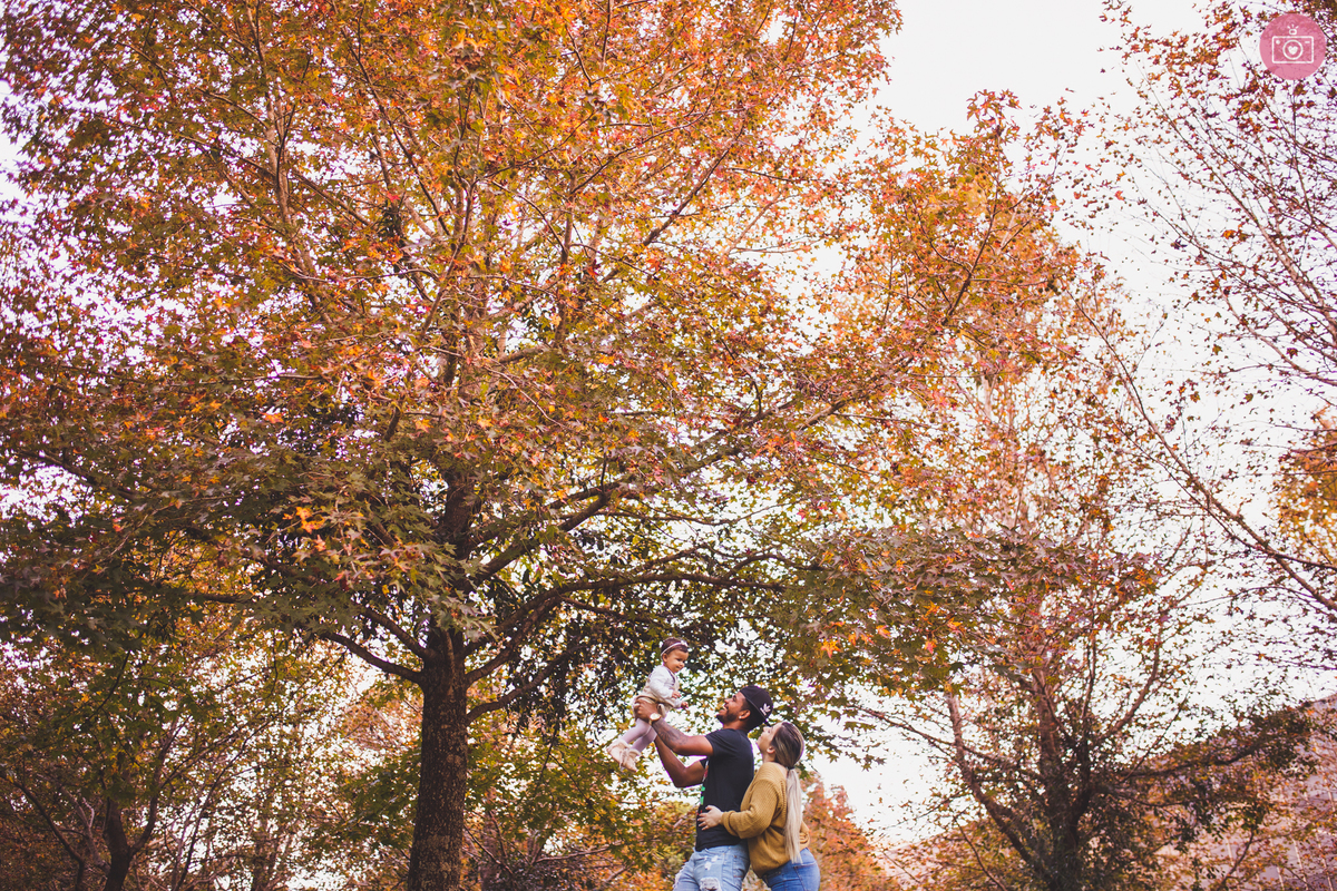 fotografa familia curitiba - ensaio externo bosque do papa - alice