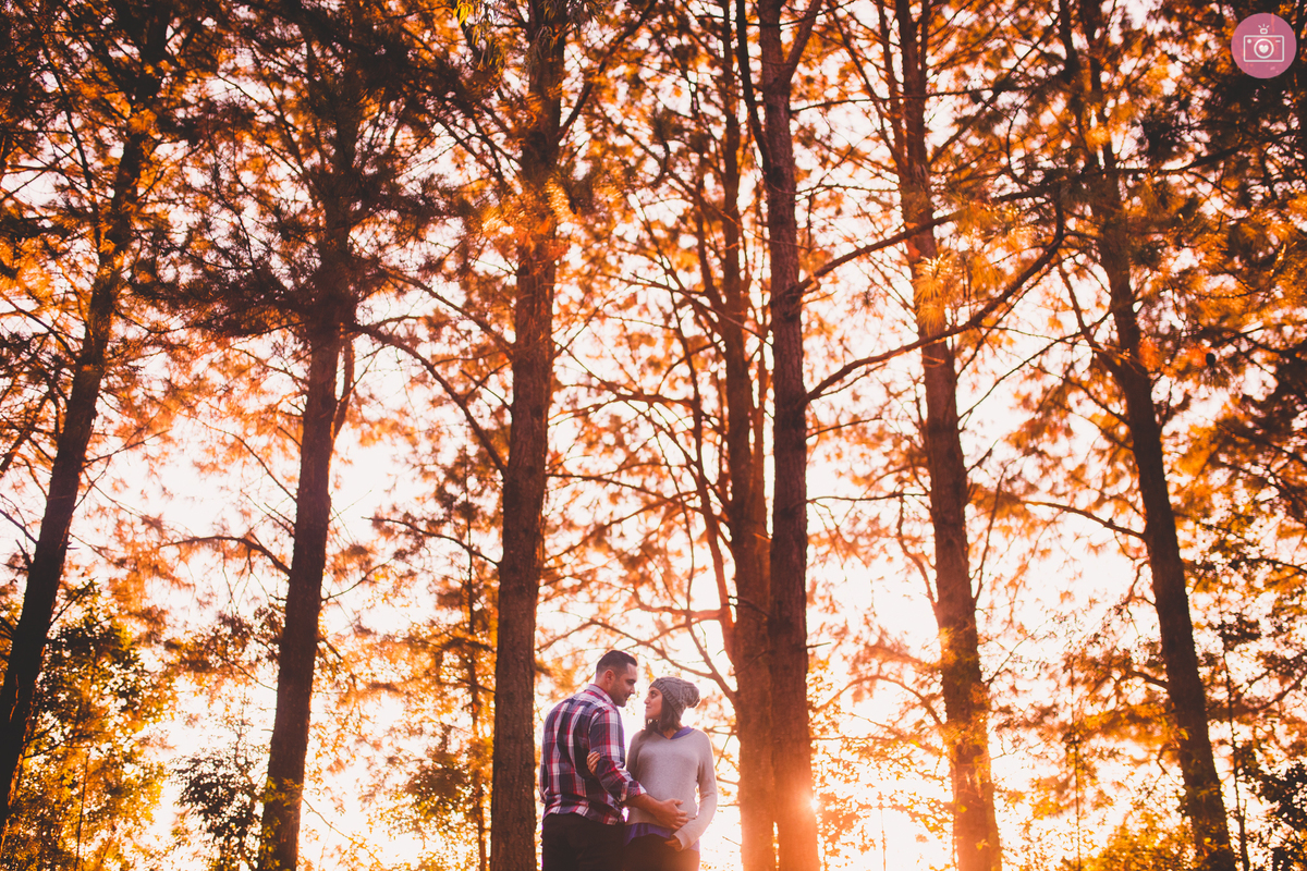 fotografa de familia em curitiba - ensaio gestante externo - Milena - colonia witmarsum