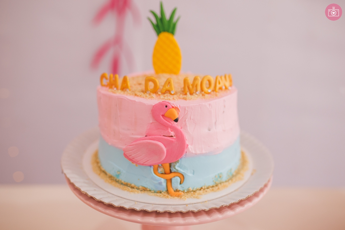 fotografa familia curitiba - cha de bebe da bru