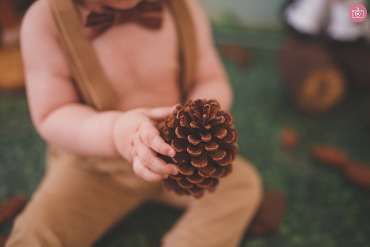 fotografa familia curitiba - smash the cake Davi estudio