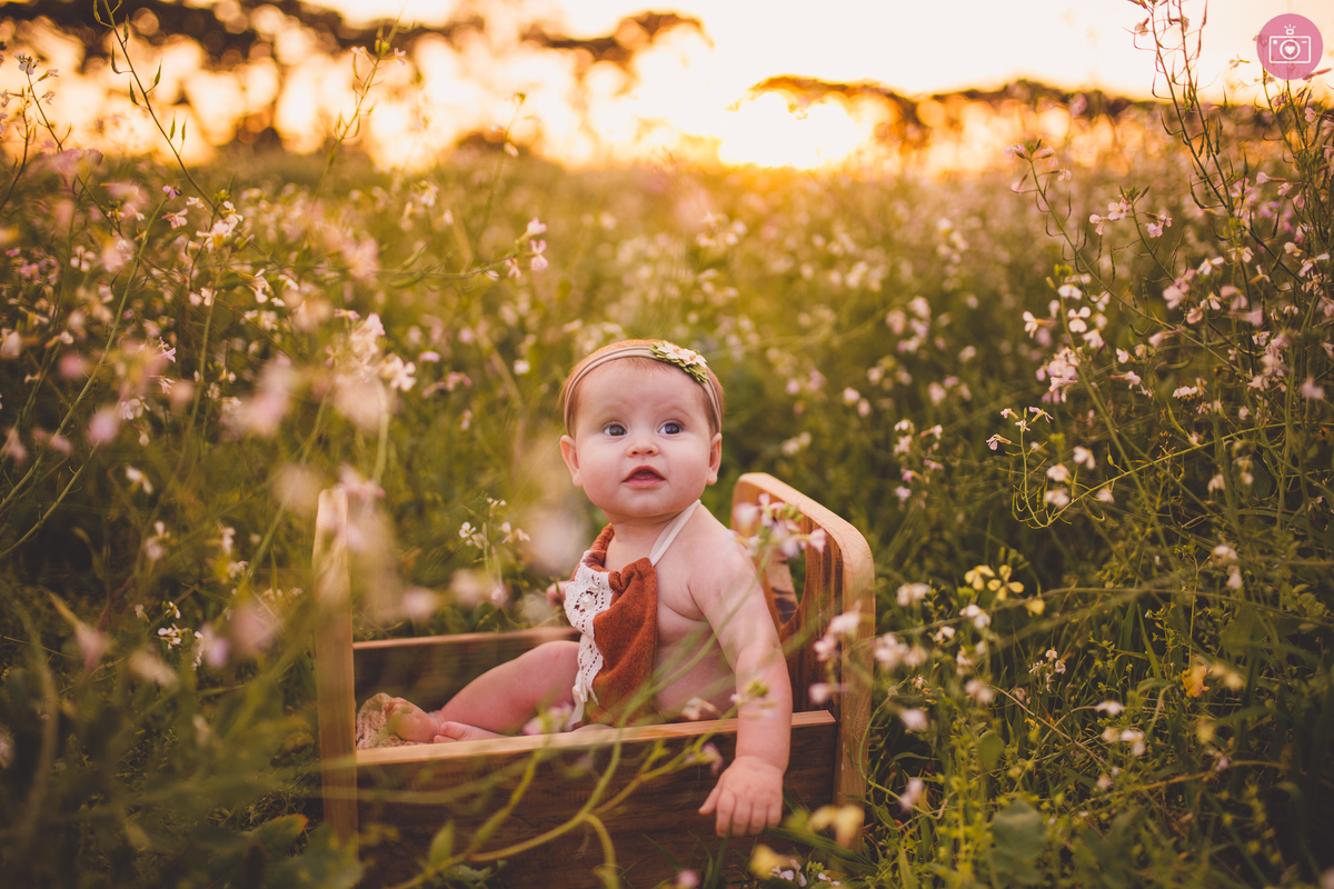 fotografa familia curitiba - Giovana 6 meses