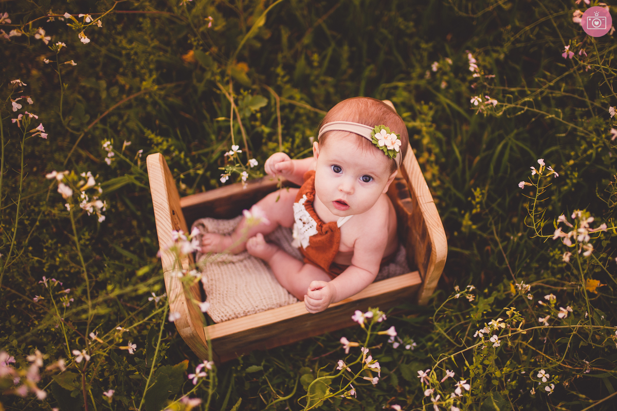 fotografa familia curitiba - Giovana 6 meses