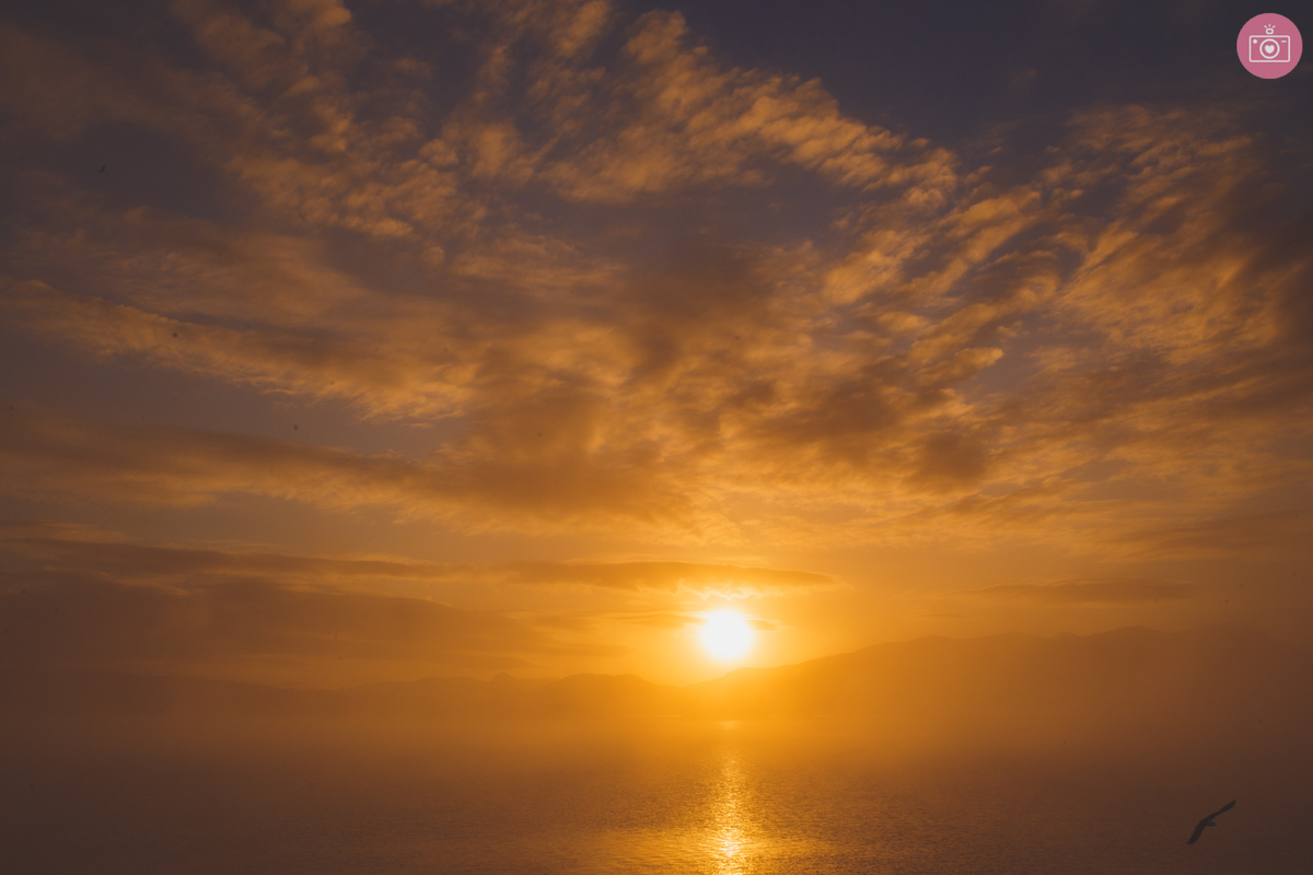 fotografa familia curitiba - ensaio gestante márcia