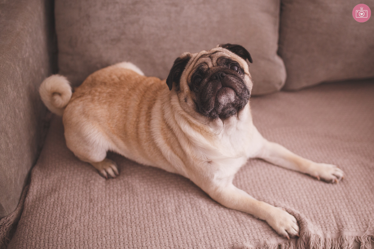 fotografa de familia curitiba - acompanhamento trimestral lifestyle Fred 3 meses