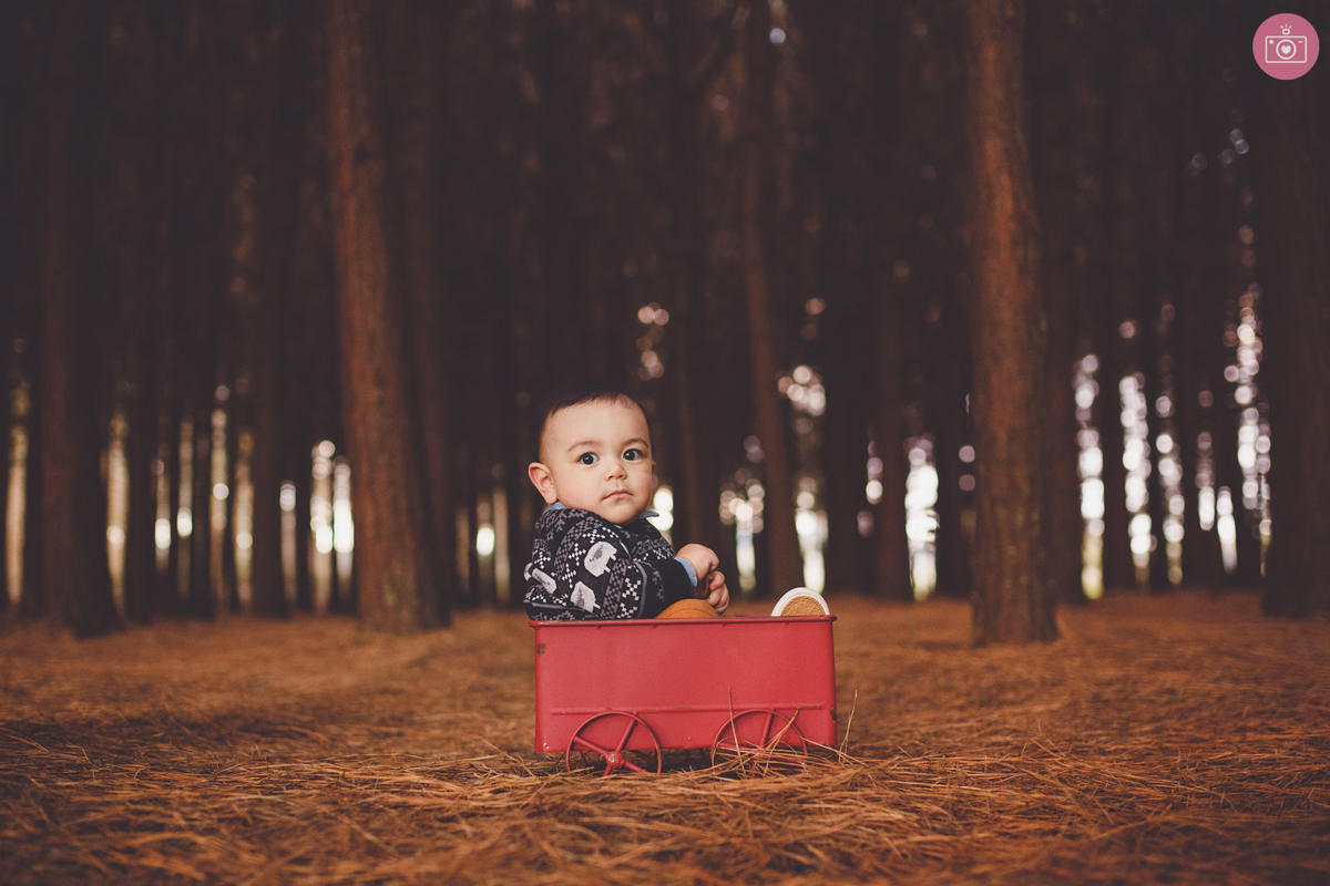 fotografa familia curitiba - acompanhamento Murilo 9 meses