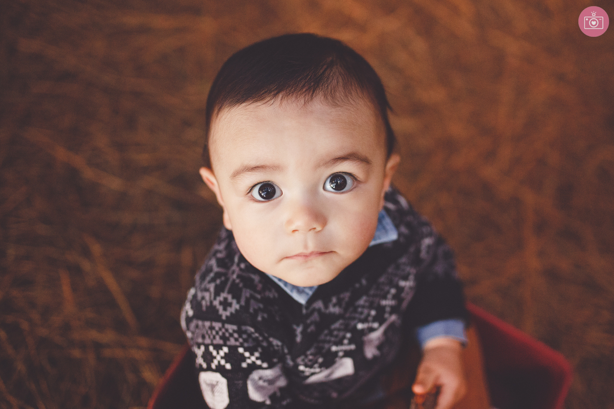 fotografa familia curitiba - acompanhamento Murilo 9 meses