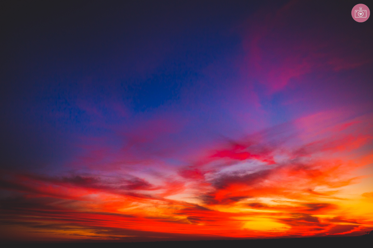 fotografa de familia em curitiba - ensaio externo duda