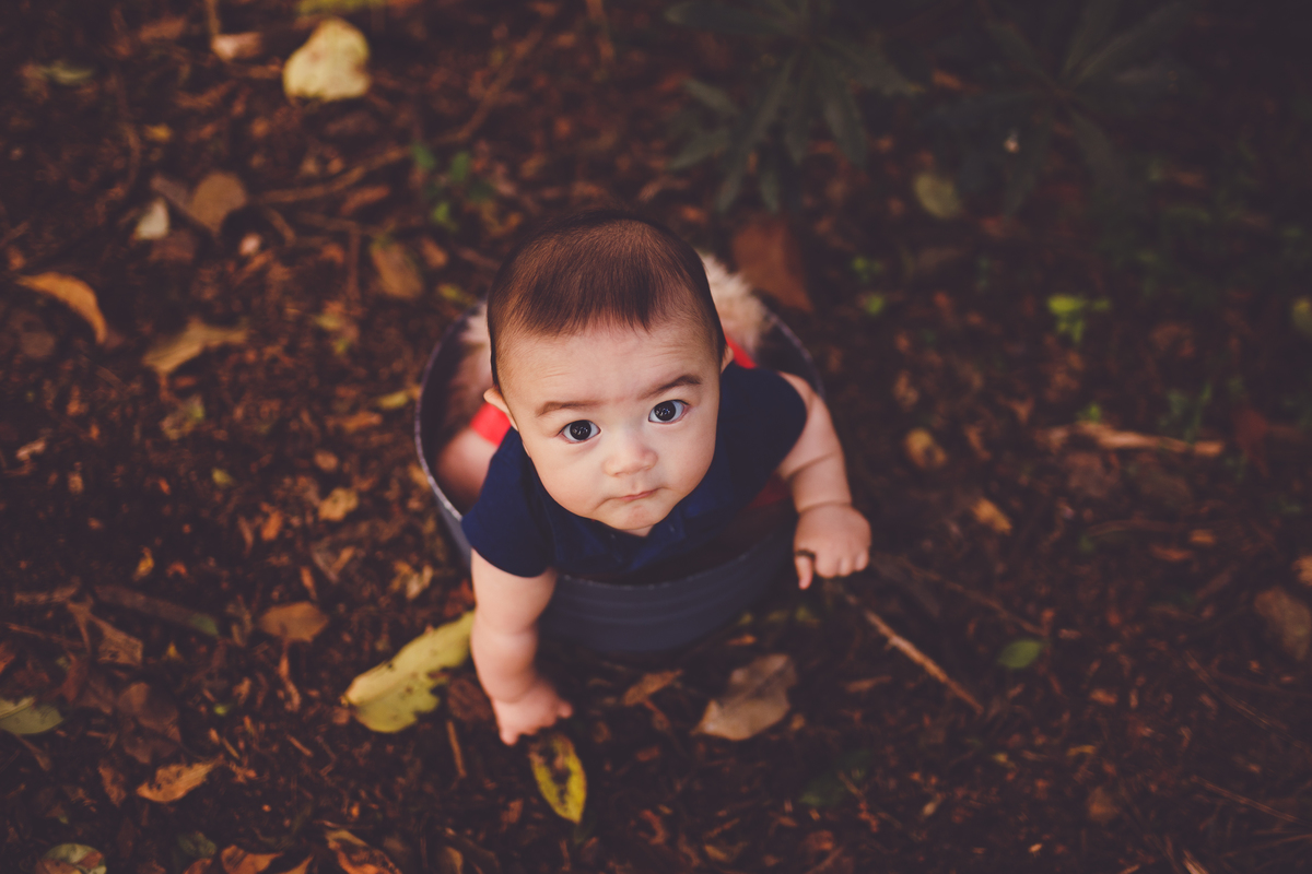 fotografa familia curitiba - ensaio externo 6 meses