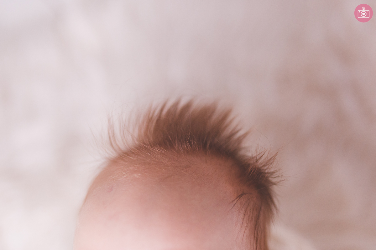 fotografa familia curitiba - acompanhamento 4 meses Antonio studio