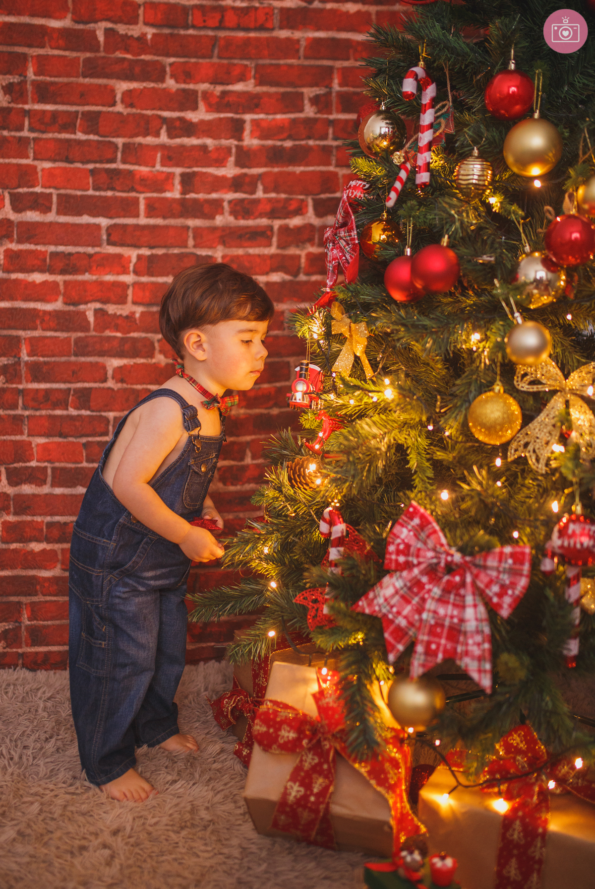 fotografa de familia de curitiba - natal estudio Jose 
