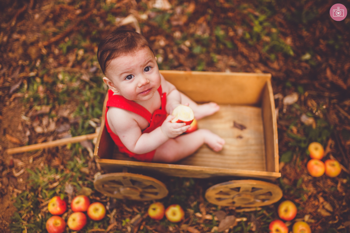 fotografa familia curitiba - ensaio externo bebe- acompanhamento trimestral
