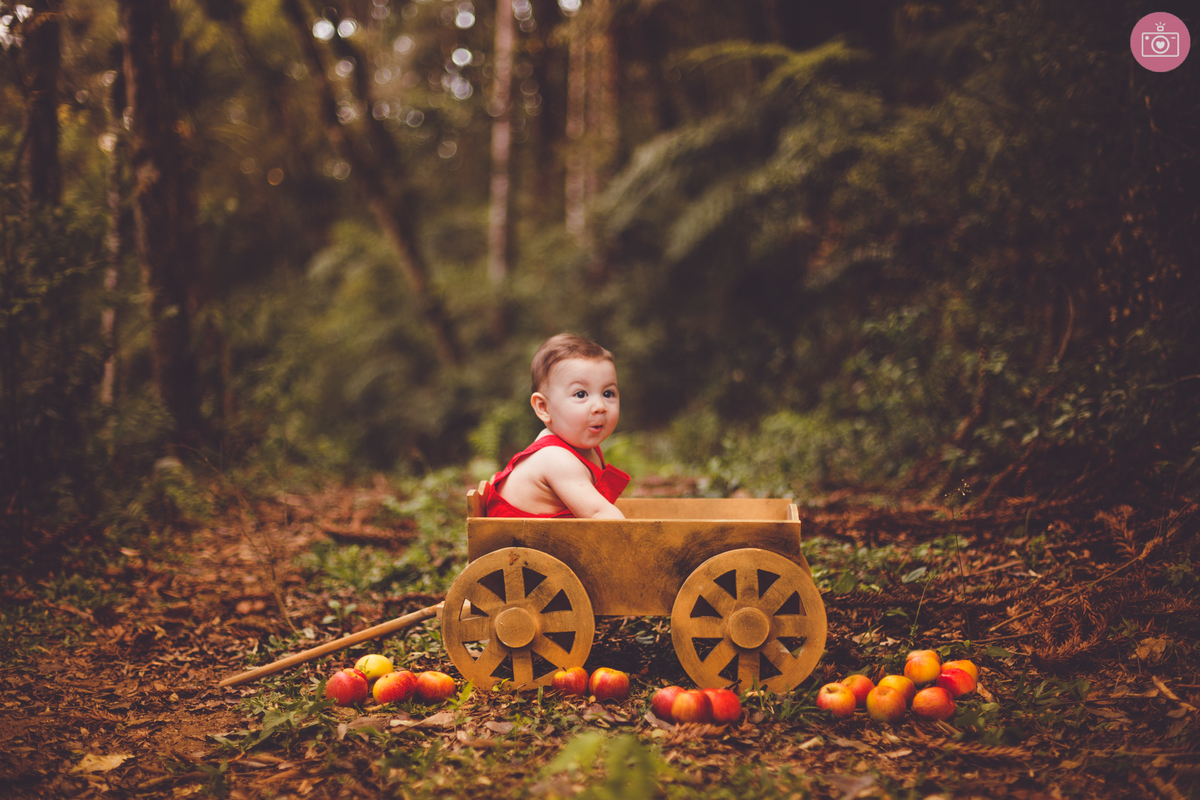 fotografa familia curitiba - ensaio externo bebe- acompanhamento trimestral